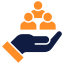 IT Consultancy